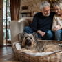 Berger des Pyrénées qui aboie beaucoup : comment calmer son hypervigilance sans saturer son cerveau ?