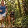 Boxer qui aboie beaucoup : comment canaliser son excitation sans casser son énergie ?