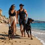 Doberman qui aboie beaucoup : comment calmer sa vigilance sans rapport de force ?