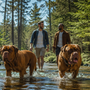 Dogue de Bordeaux qui aboie beaucoup : comment calmer son alerte sans créer de rapport de force ?