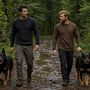 Beauceron qui aboie beaucoup : comment calmer sa vigilance sans rapport de force ?