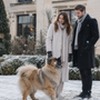 Eurasier qui aboie beaucoup : comment calmer sa vigilance sans casser sa sensibilité ?