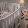 Chien qui aboie pendant la sieste du bébé : comment retrouver le calme à la maison