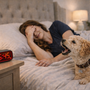 Chien qui aboie au réveil ou à l’alarme du matin : comment retrouver un matin calme