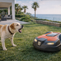 Mon chien aboie au robot tondeuse : comment retrouver le calme dans le jardin
