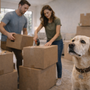 Chien qui aboie quand on déménage ou dans une nouvelle maison : comment le rassurer et retrouver le calme