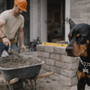 Chien qui aboie quand un artisan intervient à la maison : comment retrouver le calme sans stress