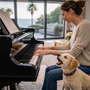 Mon chien aboie à la guitare, au piano ou aux instruments : comment retrouver le calme