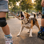 Mon chien aboie sur les trottinettes, le skate et les rollers : comment retrouver le calme
