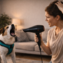 Mon chien aboie au sèche-cheveux : comment le calmer sans le brusquer