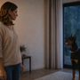 J’ai tout essayé et mon chien aboie encore : par quoi recommencer sans repartir dans tous les sens