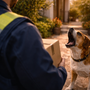 Mon chien aboie sur un livreur ou une personne en uniforme : comment le calmer sans forcer le contact