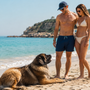 Leonberg qui aboie beaucoup : comment calmer son alerte sans casser sa douceur ?