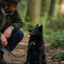 Schipperke qui aboie beaucoup : comment calmer son rôle de petit gardien sans le laisser tout surveiller ?