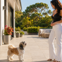 Shih Tzu qui aboie beaucoup : comment calmer ses demandes sans le surprotéger ?